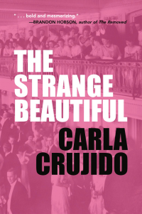 صورة الغلاف: The Strange Beautiful 9781634050531