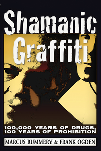 Cover image: Shamanic Graffiti 1st edition 9781634240994