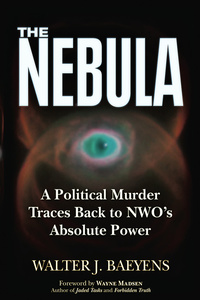 Imagen de portada: The Nebula: A Politcal Murder Traces back to NWO's Absolute Power 1st edition 9781634241052