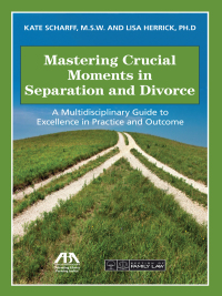 Cover image: Mastering Crucial Moments in Separation and Divorce 9781634254083