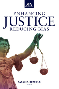 Cover image: Enhancing Justice 9781634258371