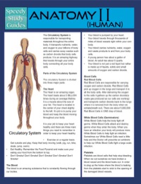 Cover image: Anatomy II (Human) (Speedy Study Guides) 9781634281645