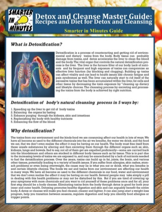 Titelbild: Detox and Cleanse Master Guide 9781634284189