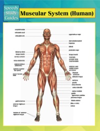 Omslagafbeelding: Muscular System (Human) Speedy Study Guides 9781634286282