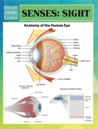 Omslagafbeelding: Senses: Sight Speedy Study Guides 9781634286343