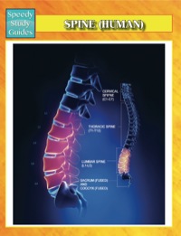 Cover image: Spine (Human) Speedy Study Guides 9781634286367