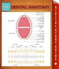 Cover image: Dental Anatomy 9781634288880