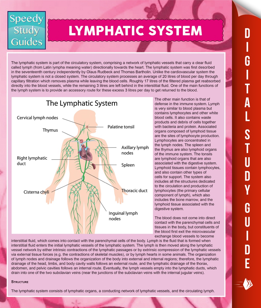Lymphatic System Speedy Study Guides