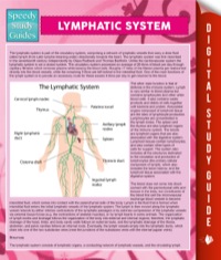 Imagen de portada: Lymphatic System 9781634288903