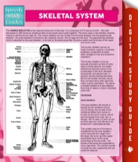 Omslagafbeelding: Skeletal System 9781634288910