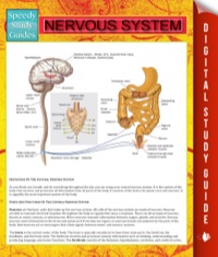 Imagen de portada: Nervous System 9781634288965