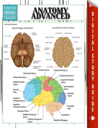 Imagen de portada: Anatomy Advanced 9781634289351