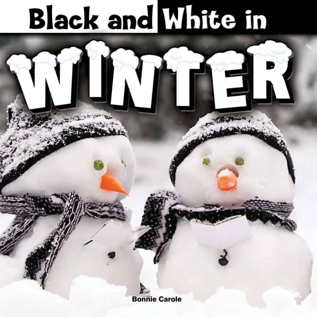 Black and White in Winter