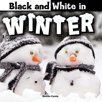 Imagen de portada: Black and White in Winter 9781634300810