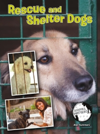 Imagen de portada: Rescue and Shelter Dogs 9781634300940