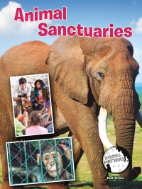 表紙画像: Animal Sanctuaries 9781634300964