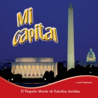 Cover image: Mi capital 9781634301527