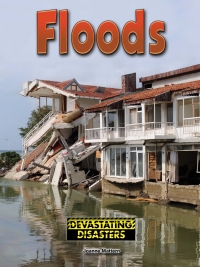 表紙画像: Floods 9781634305273