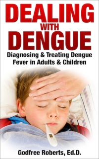 Omslagafbeelding: Dealing with Dengue: Diagnosing, Treating, and Recovering from Dengue Fever