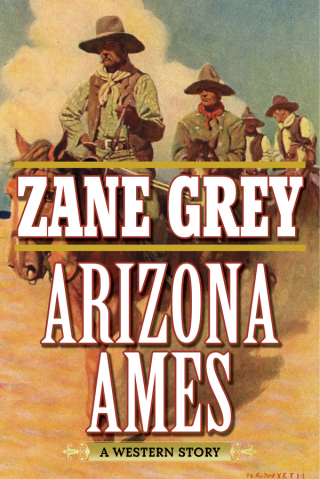 Cover image: Arizona Ames 9781634508124