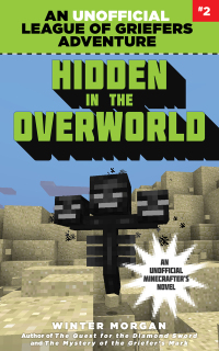 Cover image: Hidden in the Overworld 9781634505956
