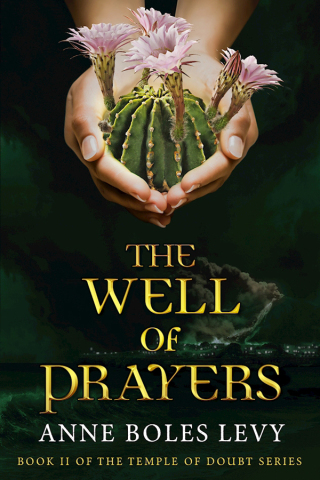 Cover image: The Well of Prayers 9781634501934
