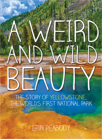 Cover image: A Weird and Wild Beauty 9781634502047