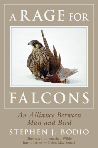 Cover image: A Rage for Falcons 9781634506724