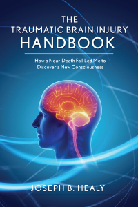 Cover image: Traumatic Brain Injury Handbook 9781634505710