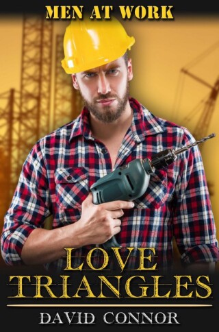 Imagen de portada: Love Triangles 9781634860406