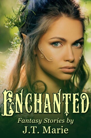 Imagen de portada: Enchanted Box Set 9781634862011