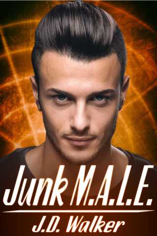 Imagen de portada: Junk M.A.L.E. 9781634862332