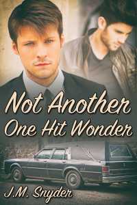 Cover image: Not Another One Hit Wonder 9781539675266