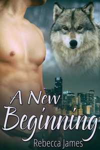 Cover image: A New Beginning