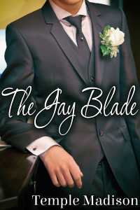 Cover image: The Gay Blade 9781634868440