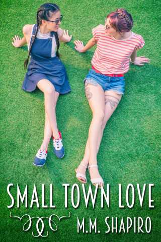 Imagen de portada: Small Town Love 9781634868778