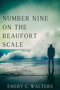 Imagen de portada: Number Nine on the Beaufort Scale 9781634869447