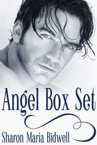 表紙画像: Angel Box Set 9781634869508