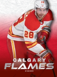 Cover image: Calgary Flames 1st edition 9781634945905