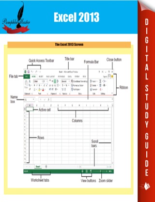 Titelbild: Excel 2013 9781635010770