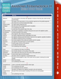 Cover image: Anatomy Terminology II (Speedy Study Guide) 9781635011975