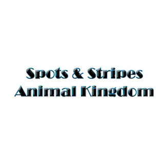 Cover image: Spots & Stripes Animal Kingdom 9781635012019