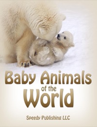 表紙画像: Baby Animals Of The World 9781635012569