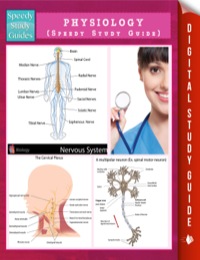 Omslagafbeelding: Physiology (Speedy Study Guide) 9781635013542