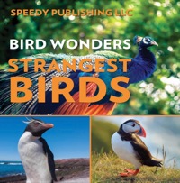 Omslagafbeelding: Bird Wonders - Strangest Birds 9781635014723