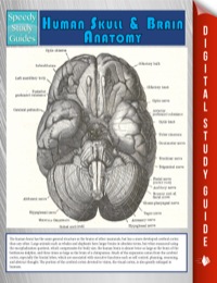 Cover image: Human Skull And Brain Anatomy (Speedy Study Guide) 9781635019971