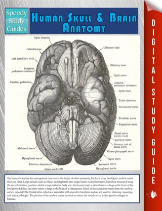 Imagen de portada: Human Skull And Brain Anatomy (Speedy Study Guide) 9781635019971