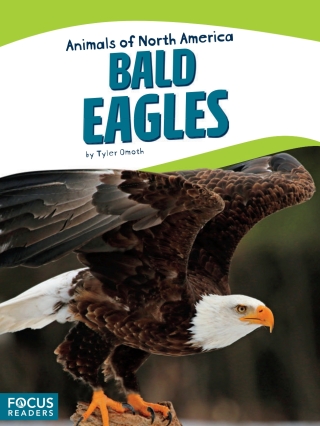 Cover image: Bald Eagles 1st edition 9781635170313