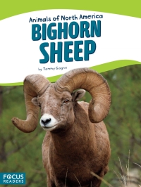 Omslagafbeelding: Bighorn Sheep 1st edition 9781635170320