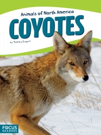 Cover image: Coyotes 1st edition 9781635170344
